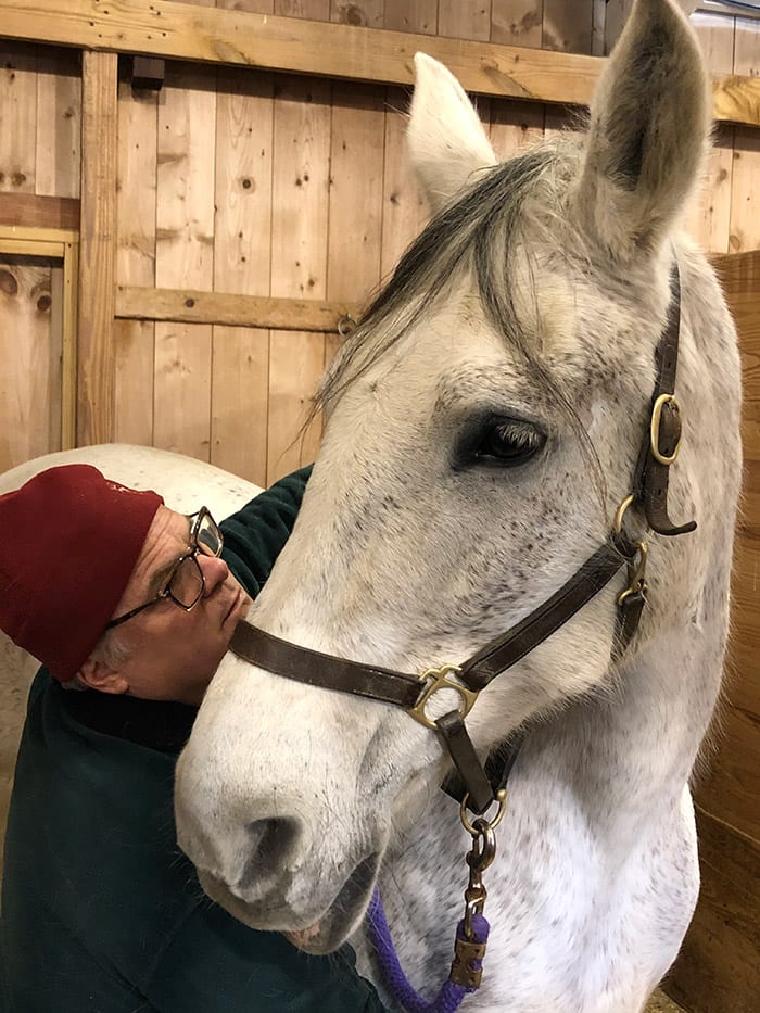 Mark performing equine bodywork on a horse